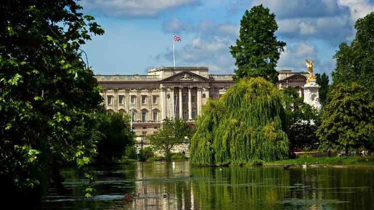 Buckingham Palace from the gardens