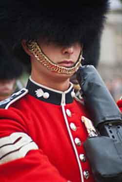 Grenadier Guards Lance Sergeant
