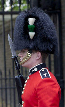 Guardsman Welsh Guards