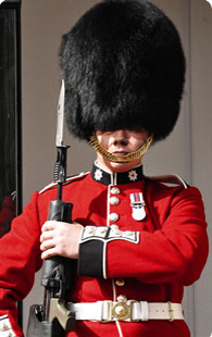 Coldstream guardsman.