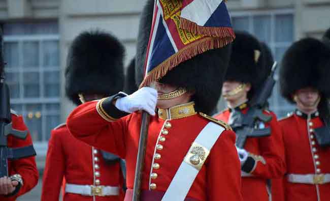 Grenadier Guards Colours