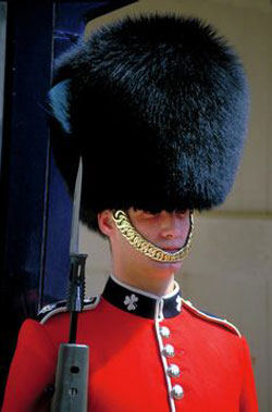 Irish Guards sentry