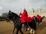 The Queen's Life Guard