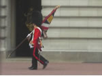 Ensign carrying the Colours