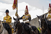 Household Cavalry Mounted Regiment Standard
