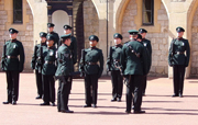 The Inspection of the dismounting guard