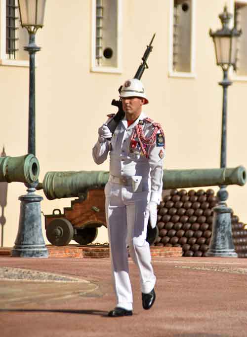 Sentryr from The Prince's Carabinieri